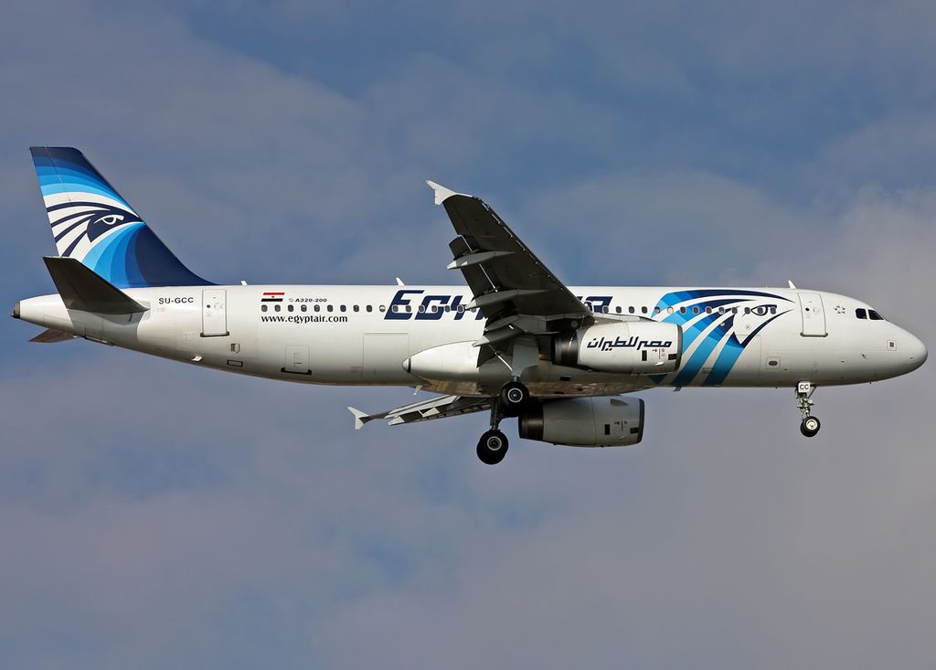 The Airbus A320 involved in the accident (SU-GCC), photo from 2011 while the aircraft was approaching Istanbul Ataturk Airport